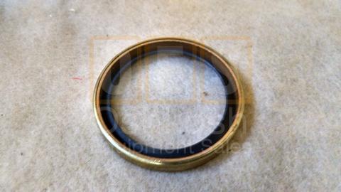 Thermostat Seal (QB)